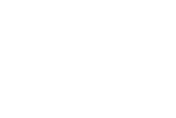 Triton Logo
